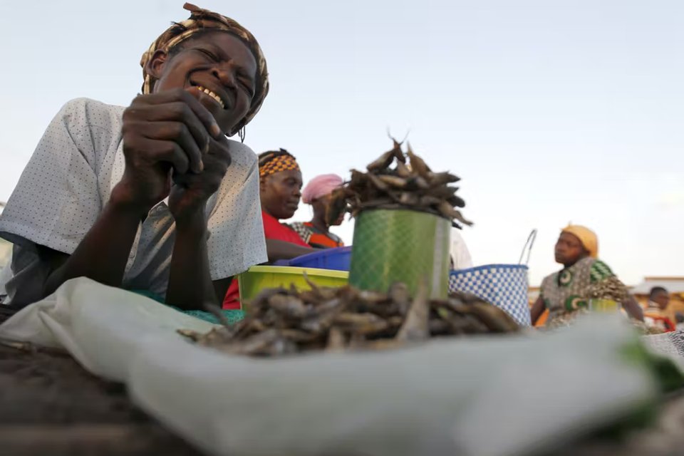 Why brutalising food vendors hits Africa’s growing cities where it hurts